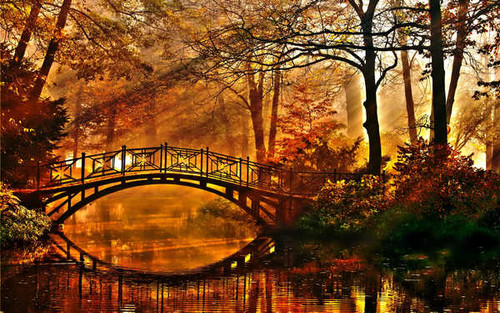 Jual Poster Bridge Fall Foliage Forest Sunbeam Sunshine Tree Bridges Bridge APC