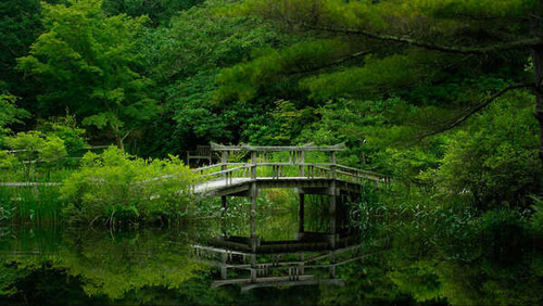 Jual Poster Bridge Forest Green Reflection River Bridges Bridge APC