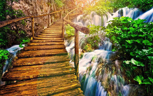 Jual Poster Bridge Forest Green Tree Tropical Waterfall Wooden Bridges Bridge APC