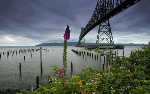 Jual Poster Bridges Astoria–Megler Bridge APC 004