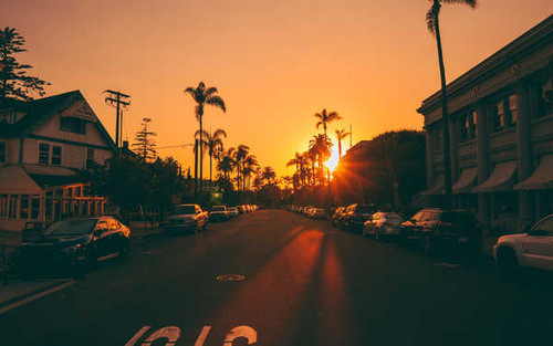Jual Poster Building Car Palm Tree Road Sunset Sunshine Cities City3 APC Jual Poster Building Car Palm Tree Road Sunset Sunshine Cities City3 APC