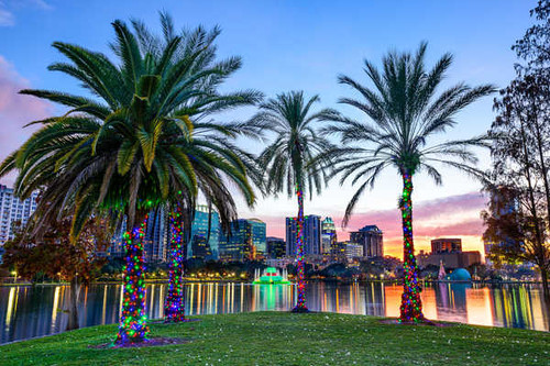 Jual Poster Building City Lake Light Orlando Palm Tree Cities Orlando APC Jual Poster Building City Lake Light Orlando Palm Tree Cities Orlando APC