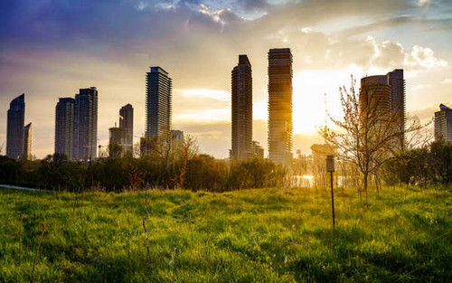 Jual Poster Building Cityscape Grass Sunbeam Sunrise Buildings Building APC