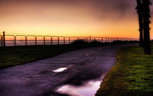Jual Poster Bush Fence Grass Horizon Landscape Ocean Oil Rig Photography Puddle Road Sea Tree Water Man Made Road APC