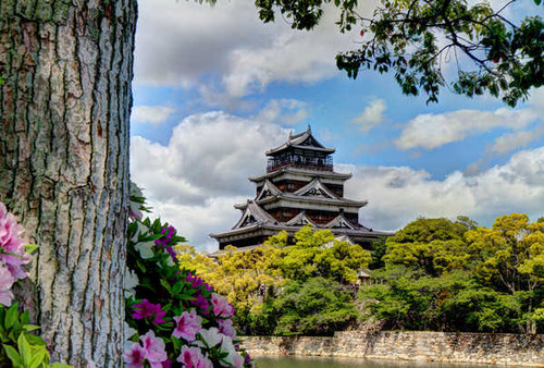Jual Poster Castle Flower Hiroshima Hiroshima Castle Tree Yamaguchi Prefecture Castles Hiroshima Castle APC