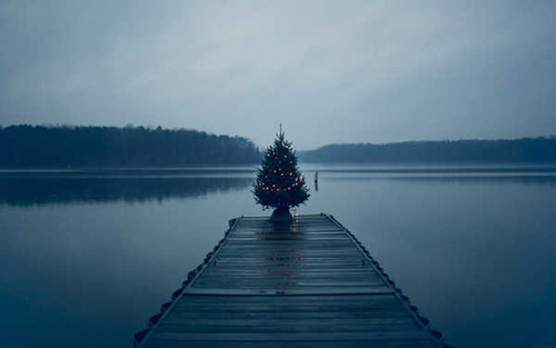 Jual Poster Christmas Tree Man Made Pier APC