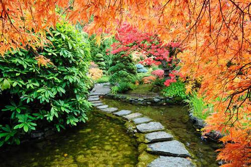 Jual Poster Colors Fall Foliage Japanese Garden Path Pond Tree Man Made Japanese Garden APC