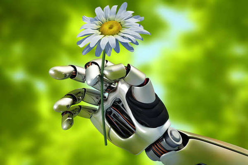 Jual Poster Daisy Flower Hand Robot Man Made Flower APC