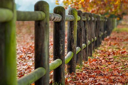 Jual Poster Depth Of Field Fence Man Made Fence APC