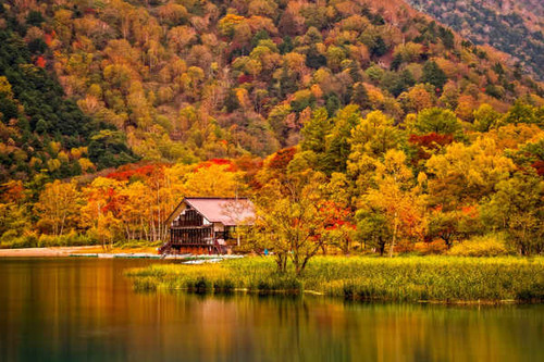 Jual Poster Fall Foliage Forest House Buildings House APC