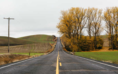 Jual Poster Fall Landscape Road Man Made Road APC