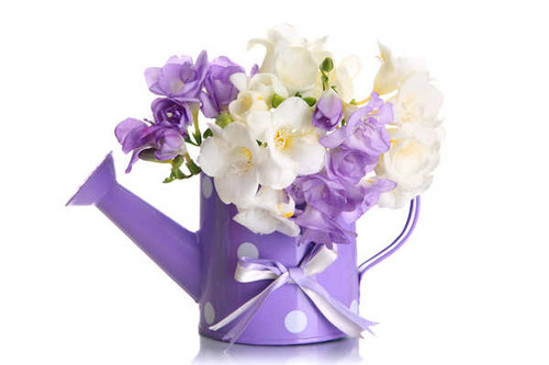 Jual Poster Flower Purple Flower Violet White Flower Man Made Flower APC