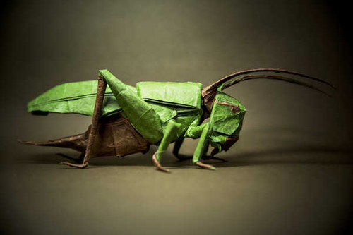 Jual Poster Grasshopper Insect Origami Man Made Origami APC