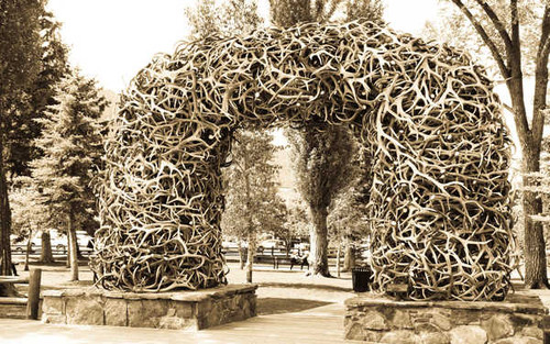 Jual Poster Man Made Antler Arch APC 001