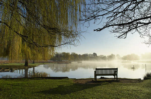 Jual Poster Man Made Bench APC 054