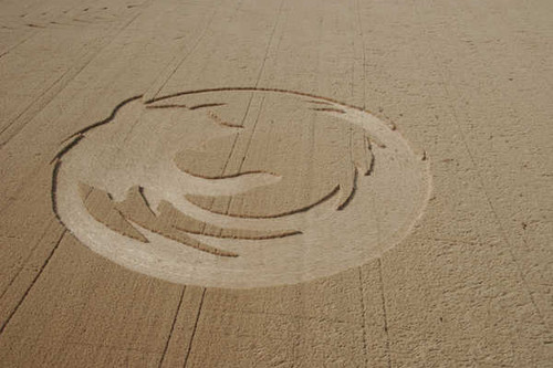 Jual Poster Man Made Crop Circles APC 003