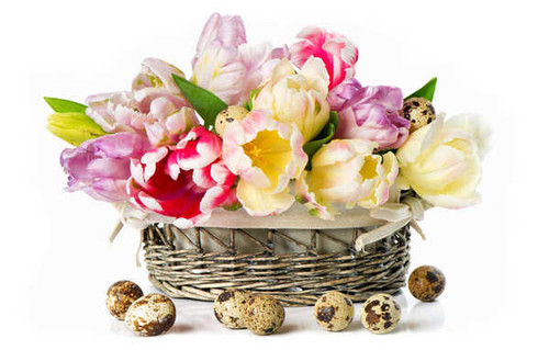 Jual Poster Man Made Flower APC 010