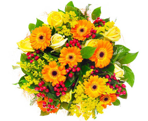 Jual Poster Man Made Flower APC 057 Jual Poster Man Made Flower APC 057