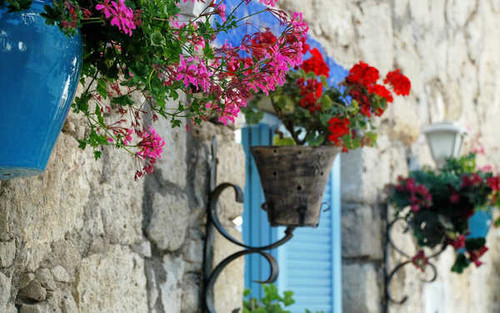 Jual Poster Man Made Flower APC 075