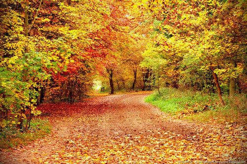 Jual Poster Man Made Path APC 027