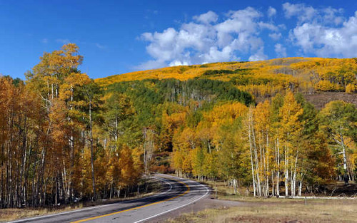 Jual Poster Man Made Road APC 070