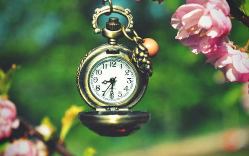 Jual Poster Man Made Watch APC 010