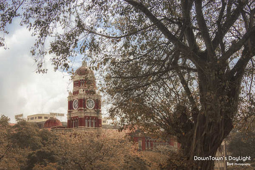 Jual Poster Tree Buildings Building APC