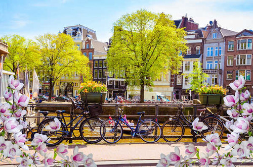 Jual Poster Amsterdam Netherlands Spring Bicycle 1Z
