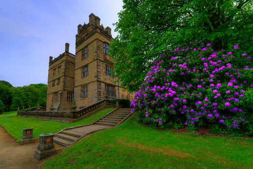 Jual Poster England Houses Rhododendron Gawthorpe Hall Padiham 1Z Jual Poster England Houses Rhododendron Gawthorpe Hall Padiham 1Z