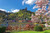 Jual Poster Germany Spring Houses 1Z