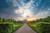 Jual Poster Munich Germany Parks Sunrises and sunsets English 1Z Jual Poster Munich Germany Parks Sunrises and sunsets English 1Z