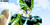 Poster Cell (Dragon Ball) Dragon Ball Z Dragon Ball Dragon Ball Z APC003