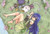 Poster Charles (Fairy Tail) Wendy Marvell Anime Fairy Tail APC