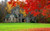 Jual Poster USA Castles Autumn Squire 's Castle Cleveland Lawn 1Z