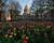 Jual Poster USA Houses Tulips Virginia Capitol Palace Street 1Z