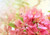 Jual Poster Bee Flowers Flower 001APC