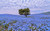 Jual Poster Blue Flower Earth Field Flower Tree Trees Tree APC