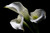 Jual Poster Calla Lily Flower White Flower Flowers Calla Lily 002APC