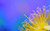 Jual Poster Colorful Flower Nature Spring Yellow Earth Spring APC