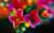 Jual Poster Colorful Flowers Flower APC