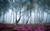 Jual Poster Flower Forest Earth Fog APC