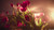 Jual Poster Flower Light Tulip Flowers Tulip APC