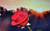 Jual Poster Flower Red Rose Sunrise Flowers Rose APC