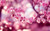 Jual Poster Flowers Blossom 177APC