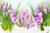 Jual Poster Flowers Crocus 010APC
