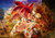 Poster Dragon Ball Dragon Ball Super APC006