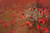 Jual Poster Flowers Poppy 112APC