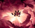 Jual Poster Flowers Tulip 007APC