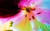 Jual Poster Pastel Flowers Flower 003APC