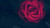 Jual Poster Red Rose Water Drop Flowers Rose APC